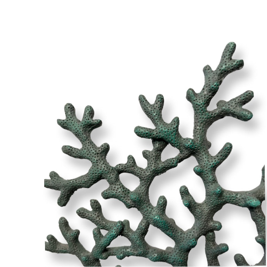 Galia Coral Sculpture, Accessories